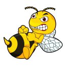 2er Set Aufkleber Böse Biene I 15 x 9 cm I außenklebend