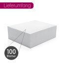 A6 Postkarten Blanko 300g/qm - 100 Blatt Papier unbedruckt I dv355
