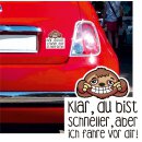 Faultier Fahrzeug-Aufkleber I Weiß