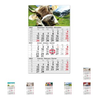 Drei-Monatskalender 2022 I Wandkalender 3 Monate I 30 x 49 cm I mehrsprachig D / GB / F  I  Jahresplaner mit Datumsschieber zum aufh&auml;ngen