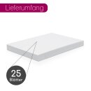 25er Set blanko Bastelkarton DIN A2 - I Selbstgestalten Basteln Malen dv_1039