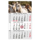 3-Monatskalender 2024 Pferd I Wandkalender 3 Monate...