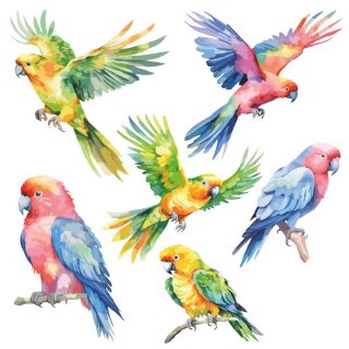 Papageien bunt