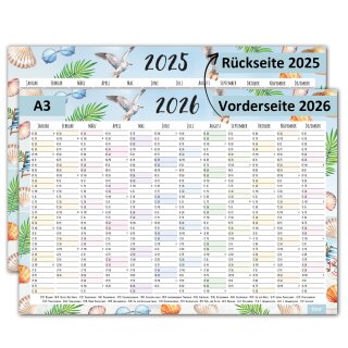 Strand I DIN A3 25/26