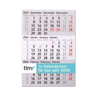 Ersatz Kalendarium 3 Monate 2026